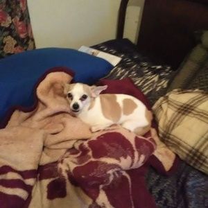 Meet your Posher, Walter